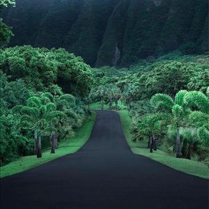 Meet your Posher, Maddi